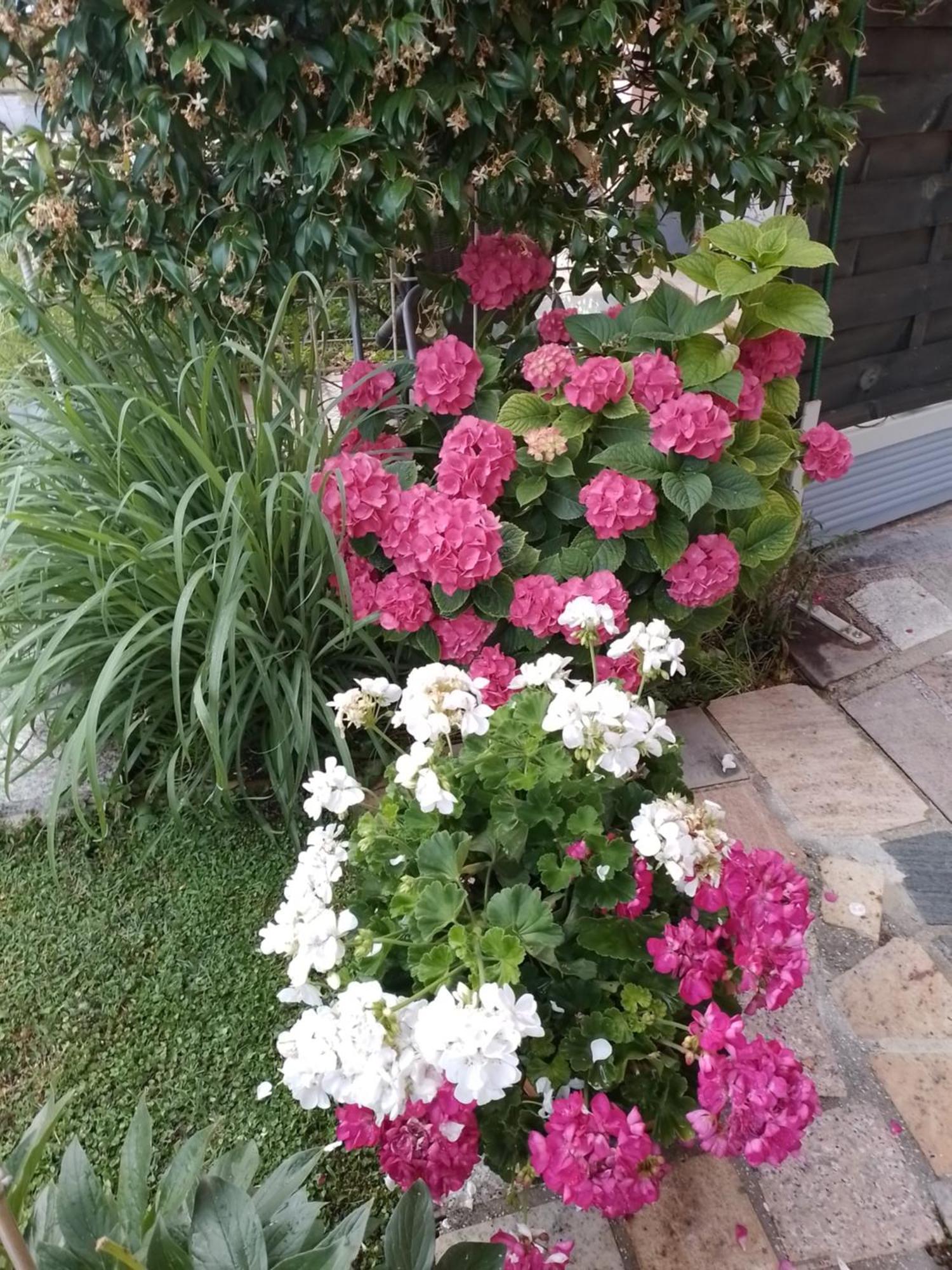 Apartman Olga Umag Extérieur photo